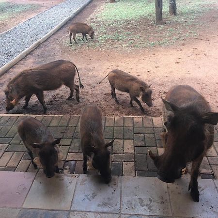 Makhato Bush Lodge 111 Бела-Бела Экстерьер фото